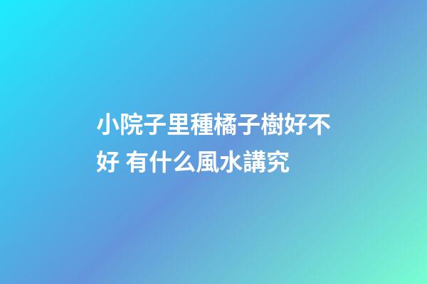 小院子里種橘子樹好不好 有什么風水講究